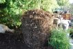 Compost Pile After First Turning