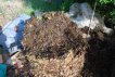 Compost Pile First Turning