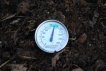 Compost Pile Temperature After Second Turning
