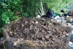 Compost Pile Before Second Turning