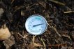 Compost Pile Temperature Before Second Turning
