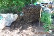Compost Pile Before Fourth Turning