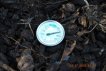 Compost Pile Temperature Before Fourth Turning