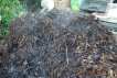 Compost Pile Turning