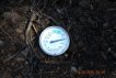 Compost Pile Temperature Before Seventh Turning