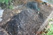 Compost Pile Seventh Turning