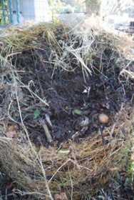 Pre-Composting in a Static Pile