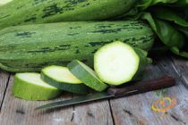 'Cocozelle' is a beautiful heirloom zucchini, leaf green with darker green streaks.