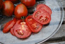 Salad Tomato Varieties—'Purple Zebra' is a tart, purplish-black heirloom tomato with red stripes