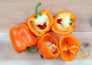 Pepper Varieties-'Horizon Orange'