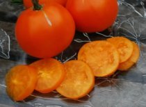 Salad Tomato Varieties—'Valencia' is a sweet, almost seedless orange tomato with a citrussy tartness