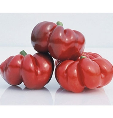 'Round of Hungary' Red Pimiento Peppers