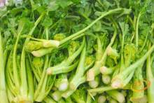 Rapini, or Broccoli Raab
