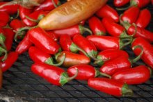 Smoking Ripe Jalapeno Peppers to Make Chipotle Chiles