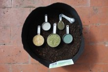 Organic Soil Amendments for Heavy Feeding Container Vegetables