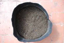 Organic Soil Amendments in a Smart Pot—Mixed In