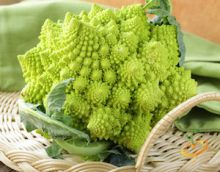 Broccoli Varieties—'Romanesco'