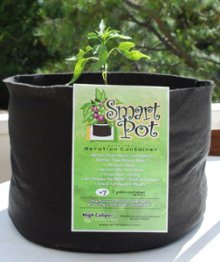 Jalapeno Planted in a Smart Pot with Organic Potting Mix