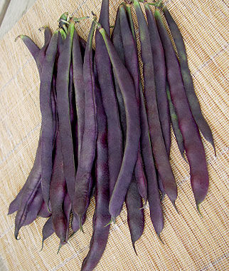 'Trionfo Violetta' Italian Heirloom Pole Bean from Burpee Seeds