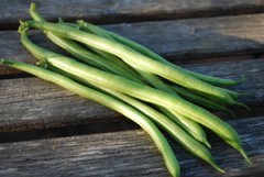 'Jade' Green Beans