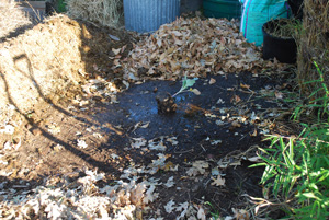 Wet the Ground Down Before You Build a Compost Pile