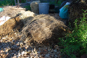 Add Another Brown Layer—In This Case, Coarse Grass Stalks