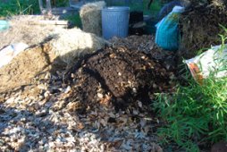 When the Compost Pile is Built Up a Third of the Way, Add a High-Nitrogen Layer, to Build Some Heat