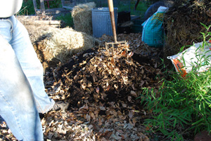 Mix this Layer into the Layer Below with the Tines of a Pitchfork