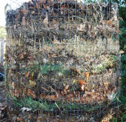 Lasagna Composting
