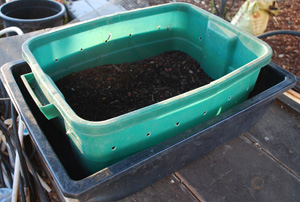 Simple Plastic Tote Worm Composting Bin