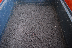 A Worm Composting Tray that’s Ready to Harvest