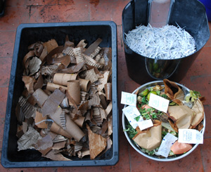 Starting Your First Worm Bin Tray: Bedding and Food