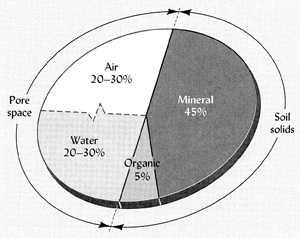 Soil Composition Chart