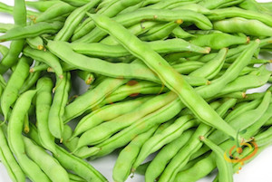 'Kentucky Wonder' Pole Beans