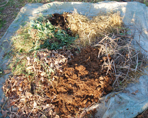The Six Compost Food Groups: Straw, Stalks, Manure, Tree Leaves, Leafy Greens/Kitchen Scraps, and Compost Activator