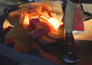 Harvesting Carrots—‘Yaya’ and ‘Purple Dragon’