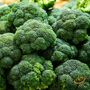 Heirloom Broccoli Varieties-'Calabrese'