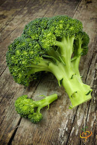 'Di Cicco' heirloom broccoli is a great choice for home gardeners because it doesn't all head up at once.