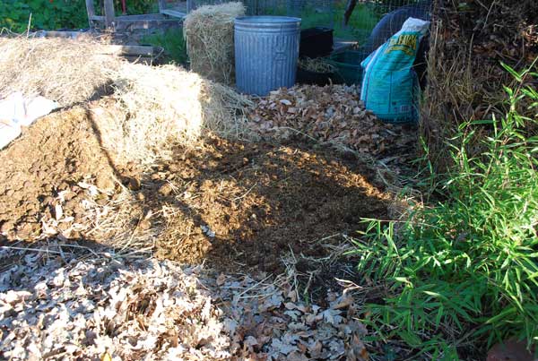 https://www.grow-it-organically.com/images/build-a-compost-pile03-lg.jpg