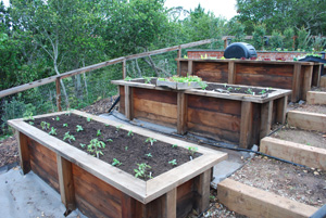 Raised Garden Beds on a Slope