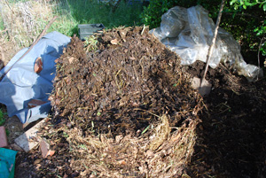 Compost Pile First Turning