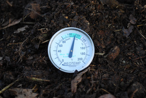 Compost Pile Temperature After Second Turning