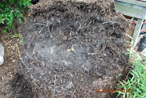 Compost Pile Turning