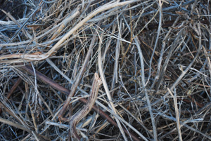 Stalky Compost Materials
