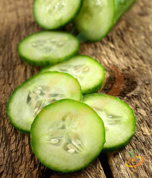 Renee's Garden 'Bush Slicer' Container Cucumber