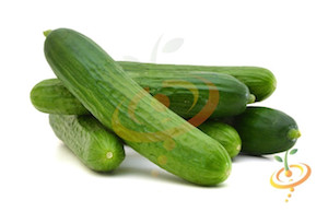 'Muncher' Slicing Cucumber