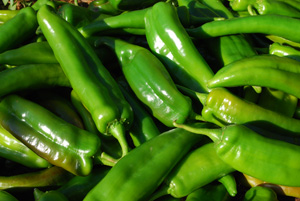 Green Chili Harvest