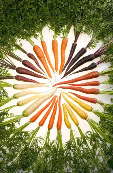 Growing Carrots in Home Gardens