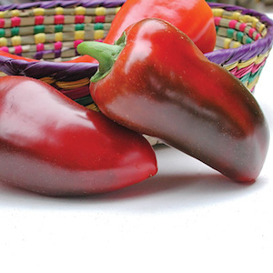 'Pizza' peppers are thick-walled, heavy, and crunchy, the perfect topping for a pizza.