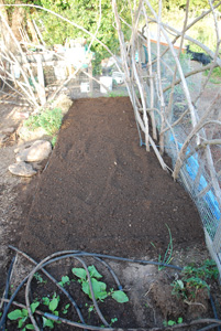 Top Layer of Soil Cultivated